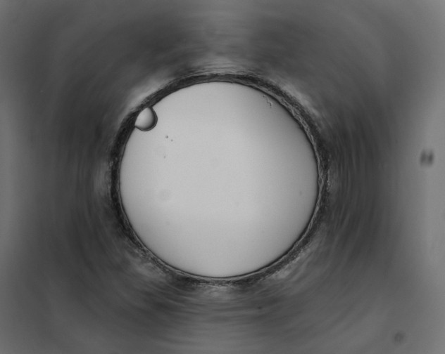 X0000102041309200808081826