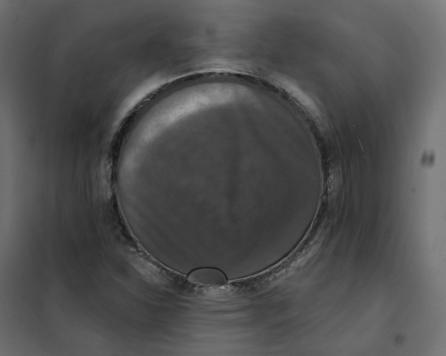 X0000102041310200808081826