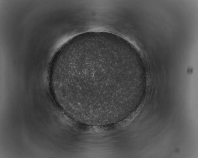 X0000102041311200808081826