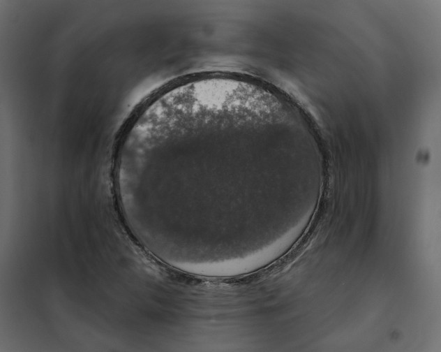 X0000102041312200808081826