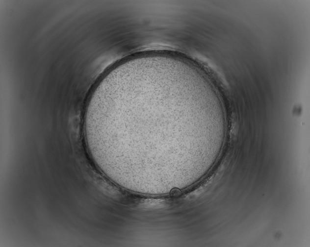 X0000102041313200808081826