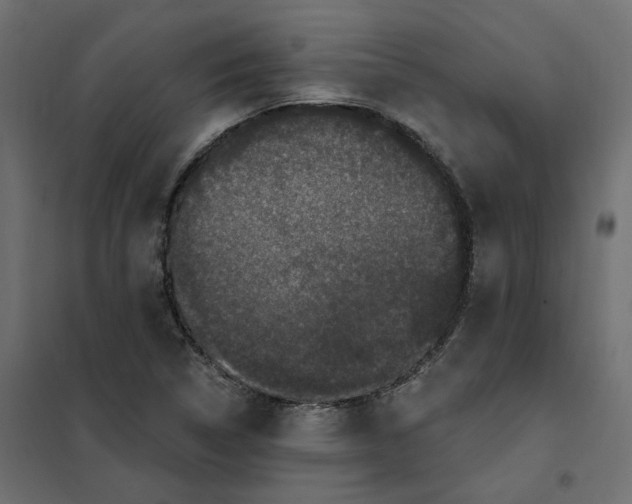 X0000102041314200808081826