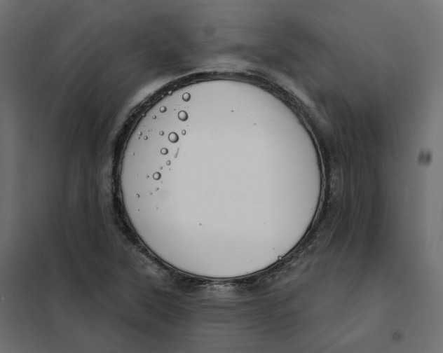 X0000102041315200808081826