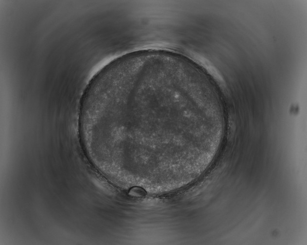 X0000102041316200808081826