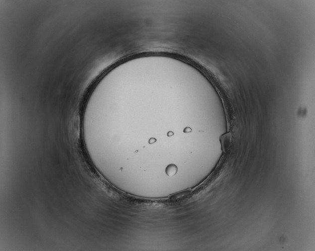 X0000102041317200808081826