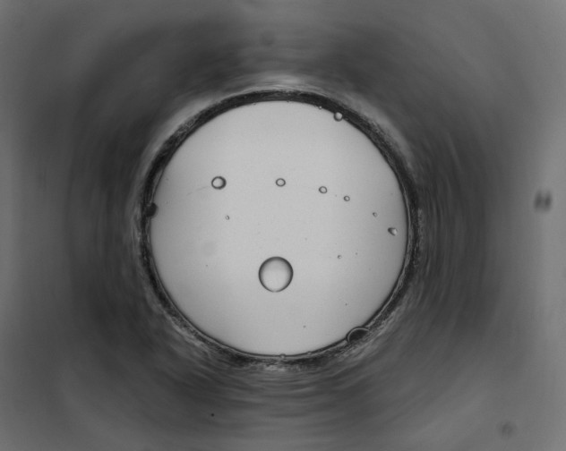 X0000102041318200808081826