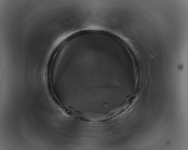 X0000102041319200808081826