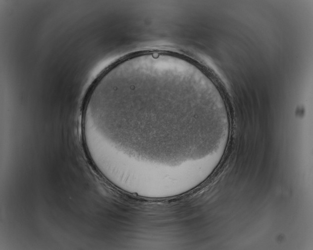 X0000102041320200808081826