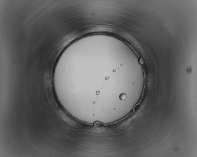 X0000102041321200808081826