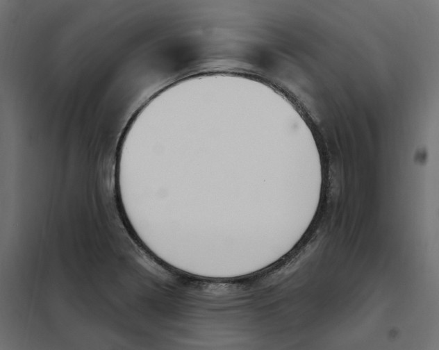 X0000102041322200808081826