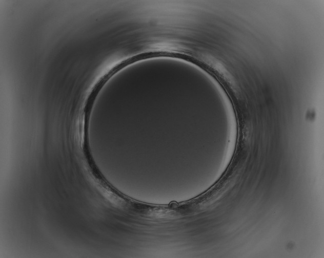 X0000102041323200808081826