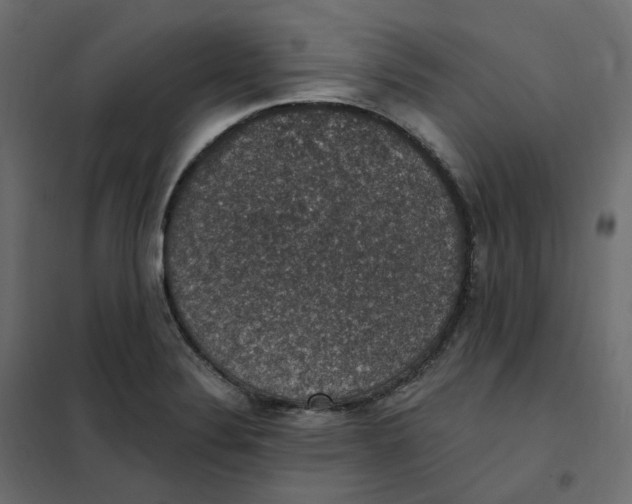 X0000102041324200808081826