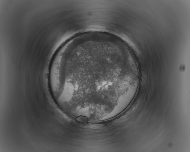 X0000102041325200808081826