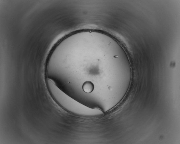 X0000102041326200808081826