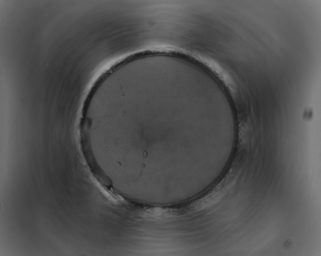 X0000102041327200808081826