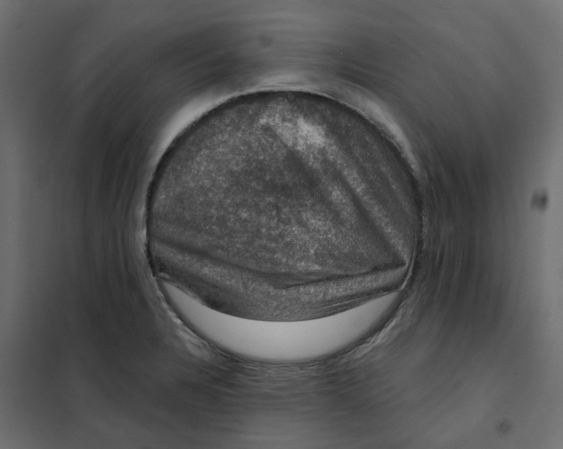 X0000102041328200808081826