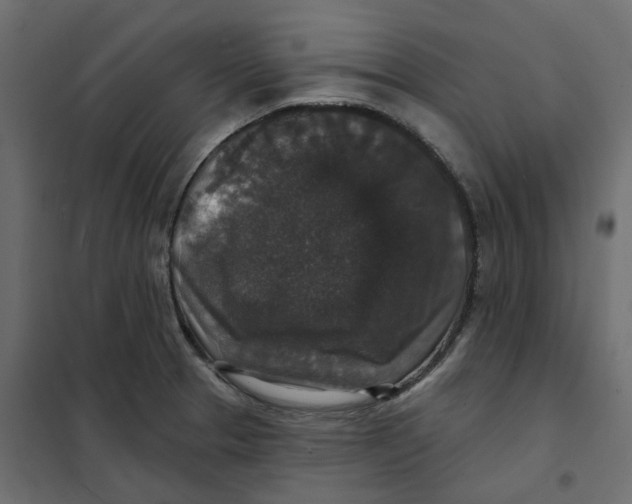 X0000102041329200808081826