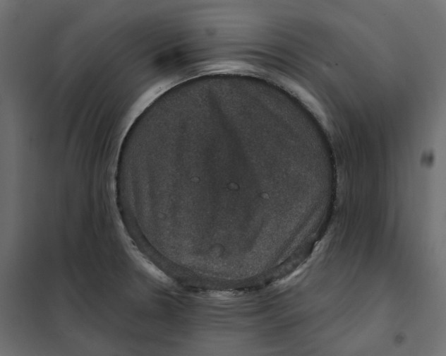 X0000102041330200808081826