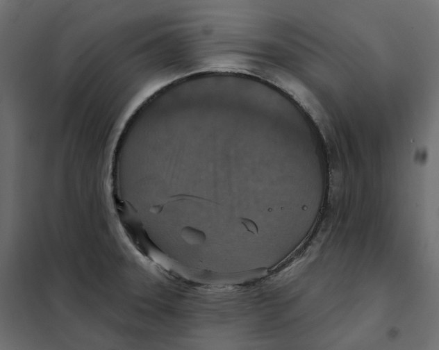 X0000102041331200808081826