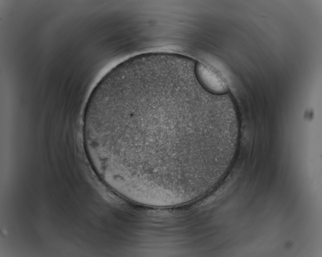 X0000102041332200808081826