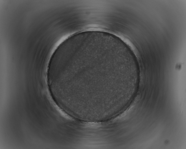 X0000102041333200808081826