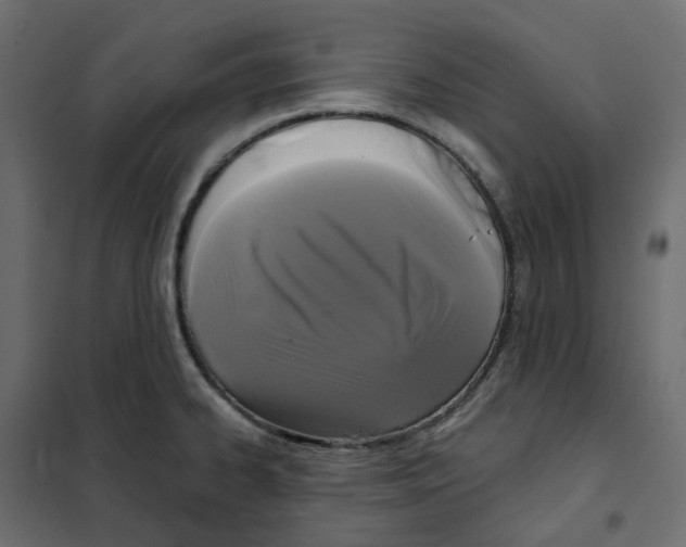 X0000102041334200808081826