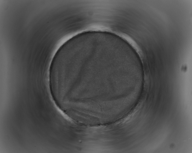 X0000102041335200808081826