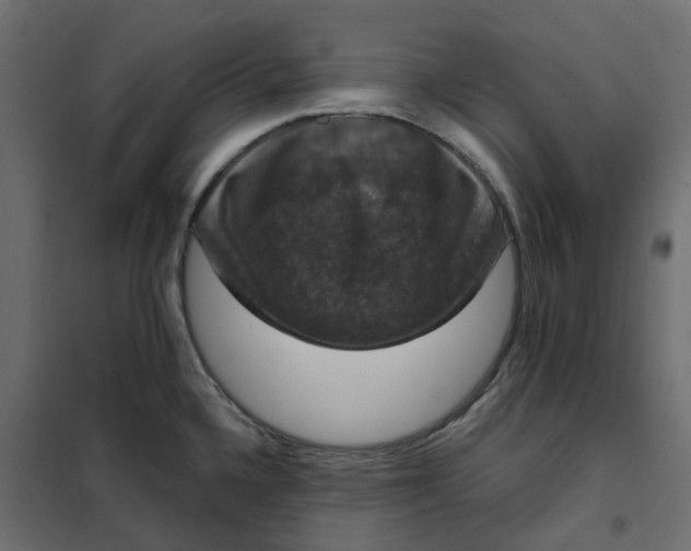 X0000102041336200808081826