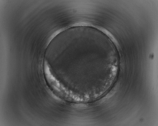 X0000102041337200808081826