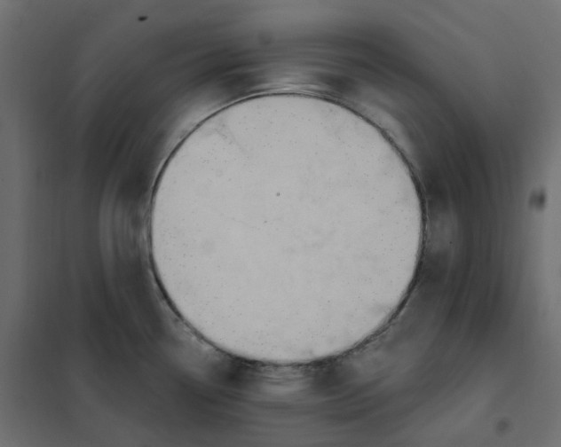 X0000102041338200808081826