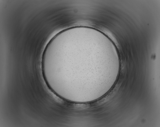 X0000102041339200808081826