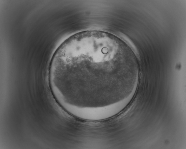 X0000102041340200808081826