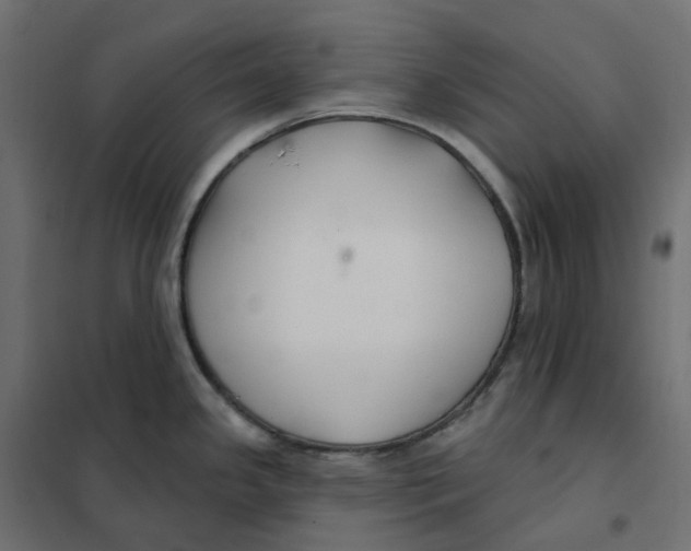 X0000102041341200808081826