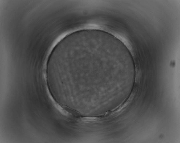 X0000102041342200808081826