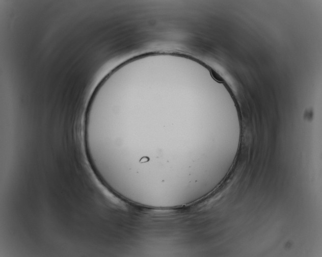 X0000102041343200808081826