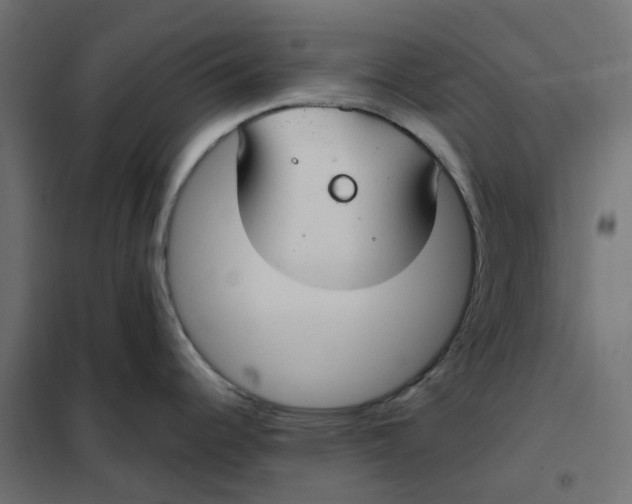 X0000102041344200808081826