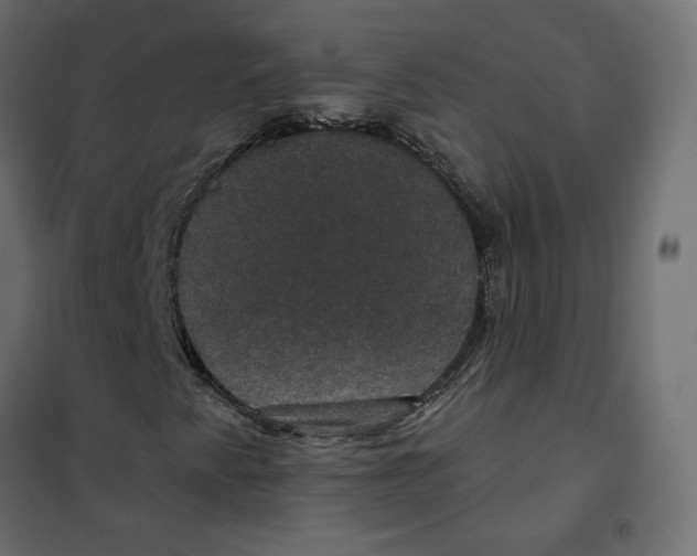 X0000102041345200808081825