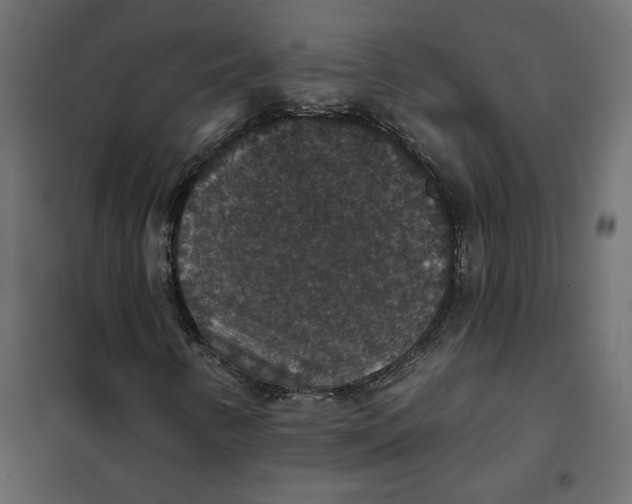 X0000102041346200808081825