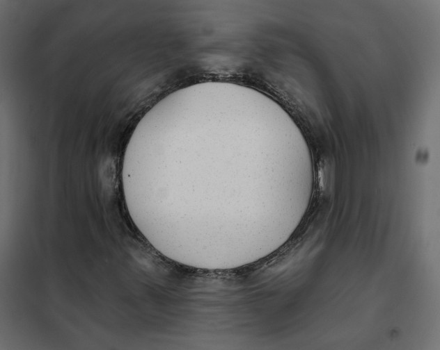 X0000102041347200808081825