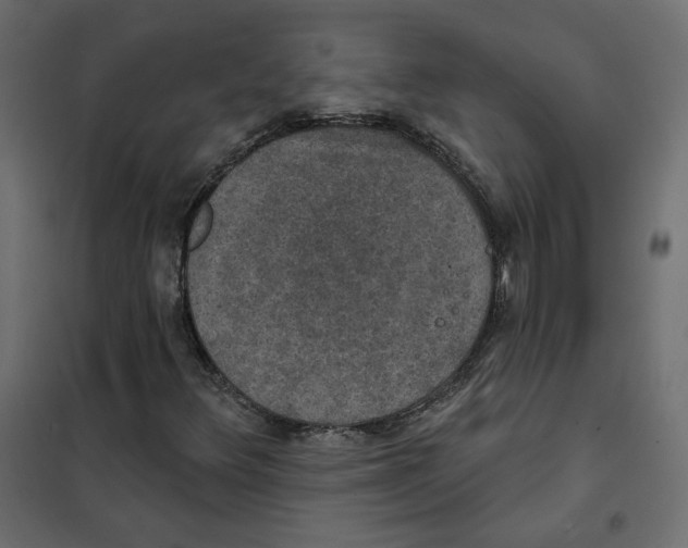 X0000102041348200808081825