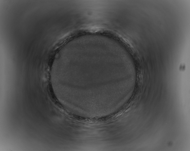 X0000102041349200808081825