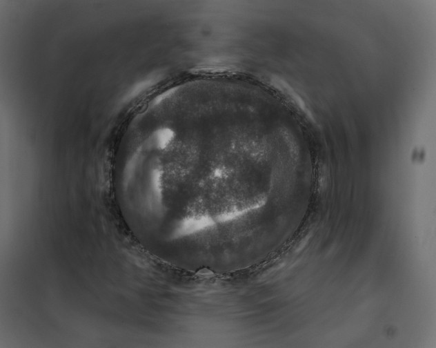 X0000102041350200808081825