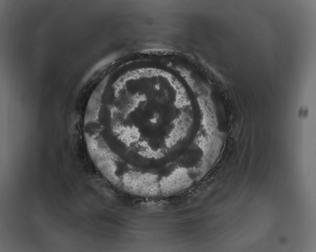 X0000102041351200808081825