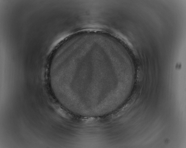 X0000102041352200808081825