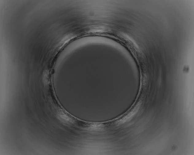 X0000102041353200808081825