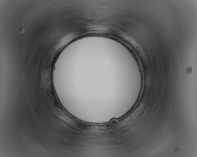 X0000102041354200808081825