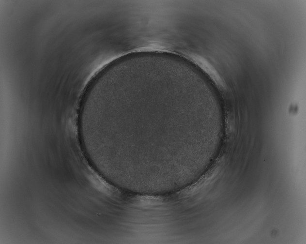 X0000102041356200808081825