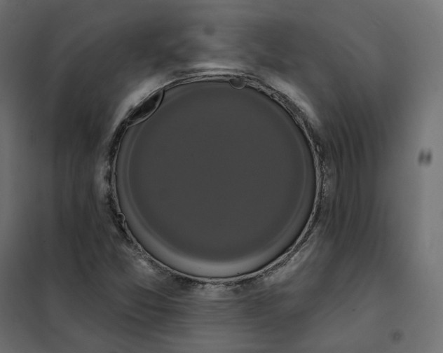 X0000102041357200808081825