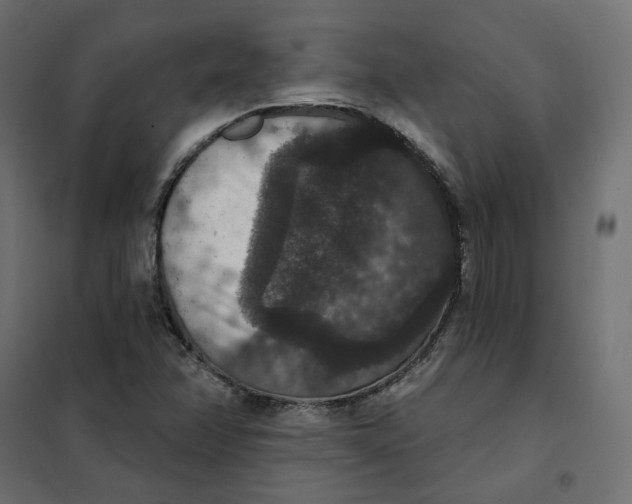 X0000102041358200808081825