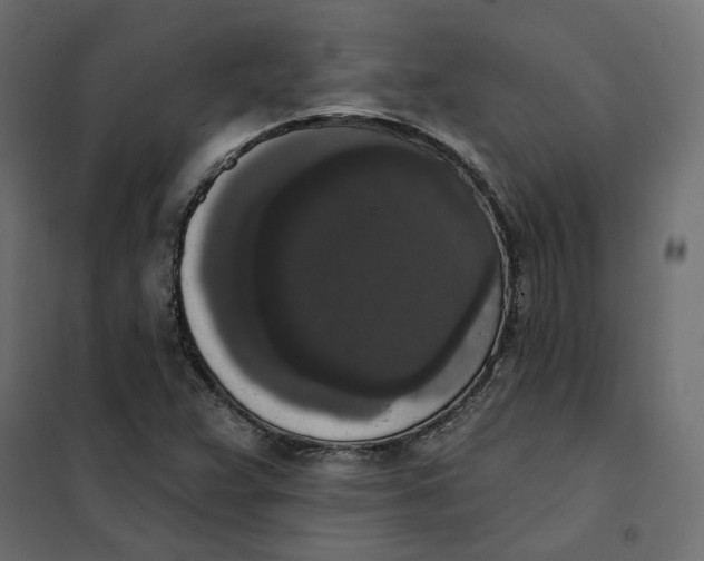 X0000102041359200808081825